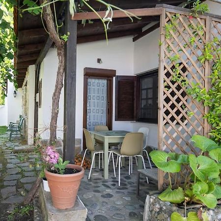 Traditionelles Appartement Athos Shadow Am Meer Paralia Sikias Exterior foto