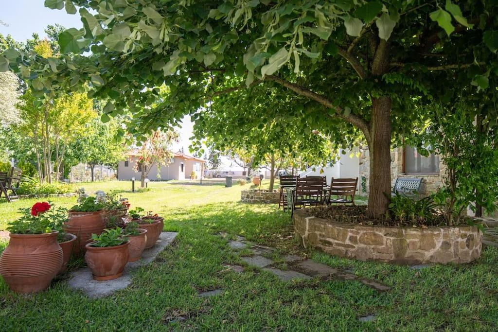 Traditionelles Appartement Athos Shadow Am Meer Paralia Sikias Exterior foto