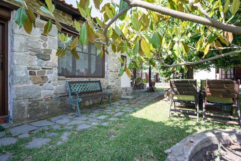 Traditionelles Appartement Athos Shadow Am Meer Paralia Sikias Exterior foto
