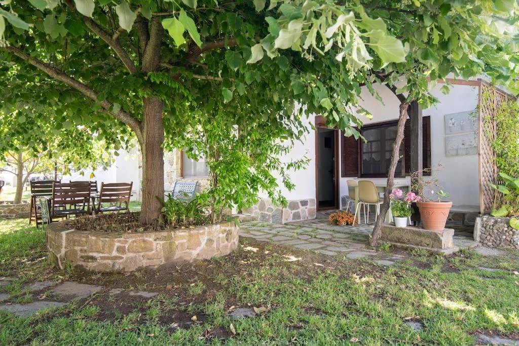 Traditionelles Appartement Athos Shadow Am Meer Paralia Sikias Exterior foto