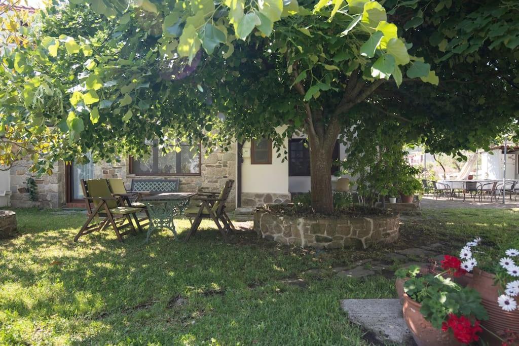 Traditionelles Appartement Athos Shadow Am Meer Paralia Sikias Exterior foto