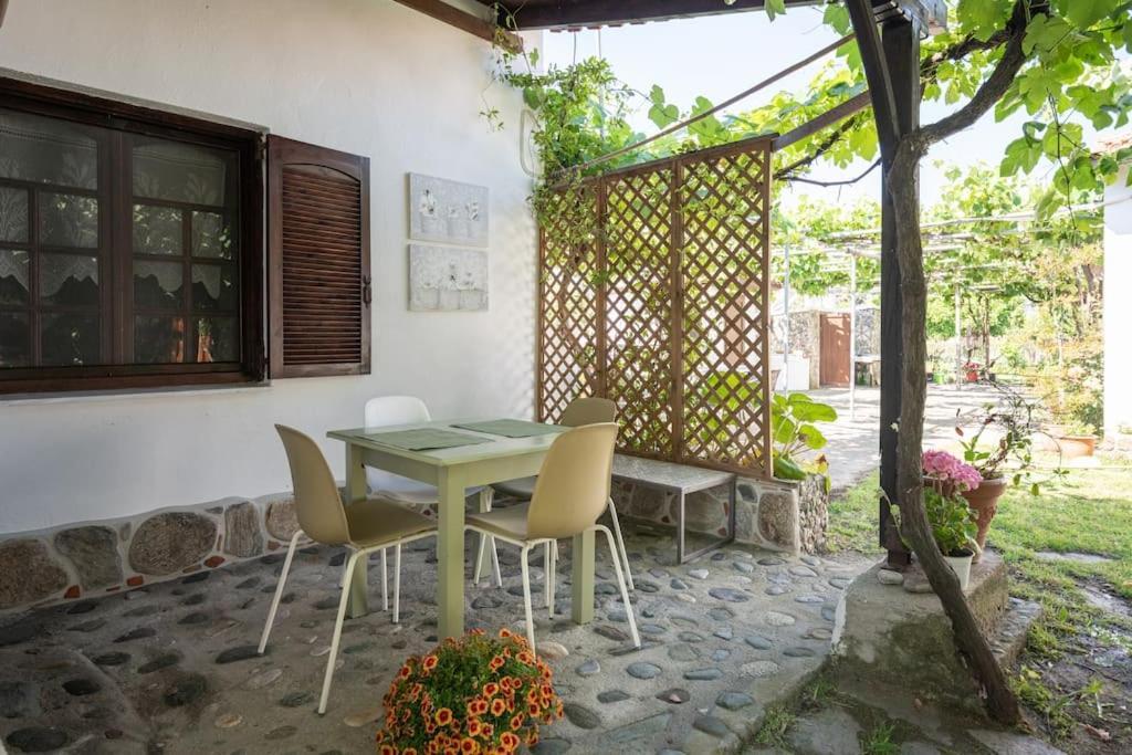 Traditionelles Appartement Athos Shadow Am Meer Paralia Sikias Exterior foto